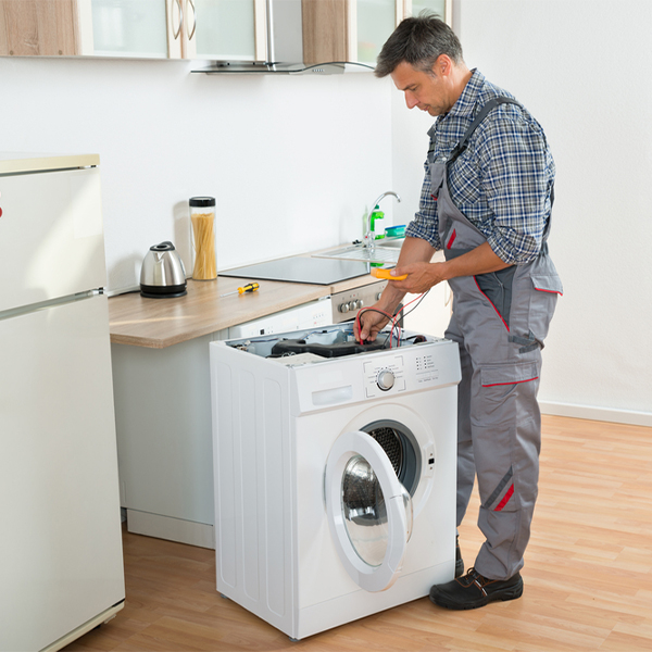 what are common issues that can arise with a washer in Holt County